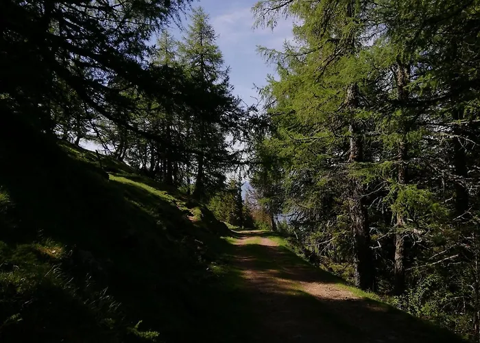 Lucashof Millstaettersee Apartment